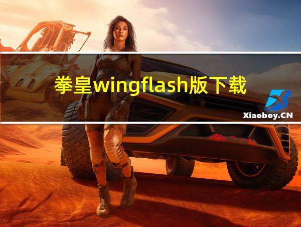 拳皇wingflash版下载的相关图片