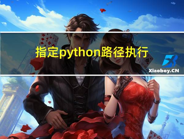 指定python路径执行的相关图片