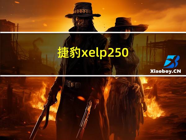 捷豹xelp250的相关图片