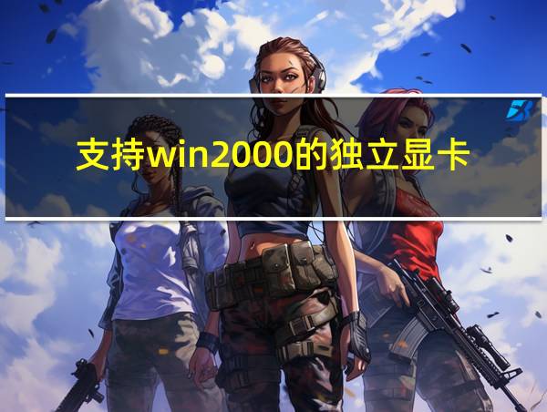 支持win2000的独立显卡的相关图片