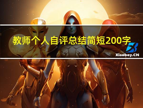 教师个人自评总结简短200字的相关图片