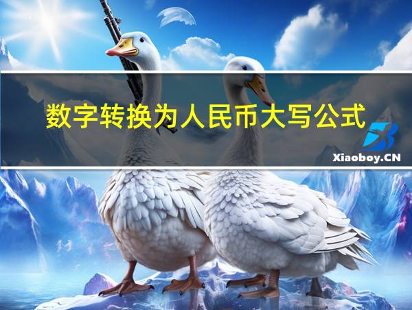 数字转换为人民币大写公式的相关图片