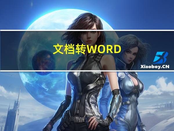 文档转WORD的相关图片