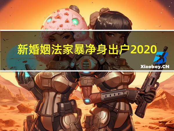 新婚姻法家暴净身出户2020的相关图片