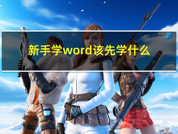 新手学word该先学什么的相关图片