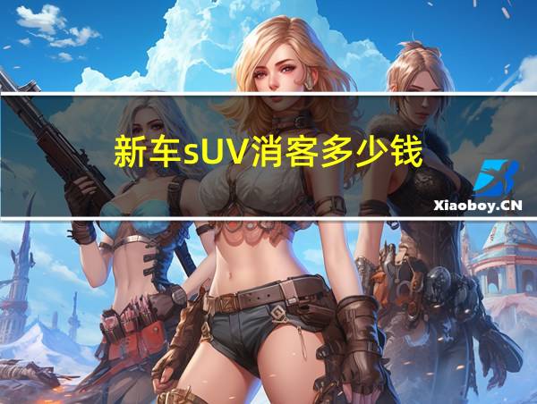 新车sUV消客多少钱的相关图片