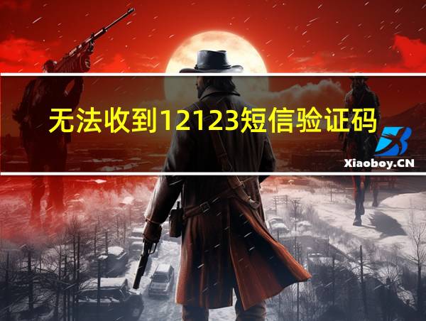 无法收到12123短信验证码的相关图片