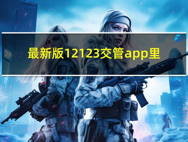 最新版12123交管app里怎么查不到车辆合格标志信息?的相关图片