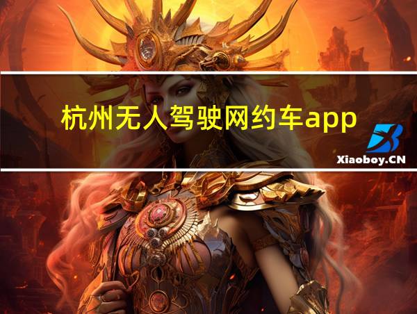 杭州无人驾驶网约车app的相关图片