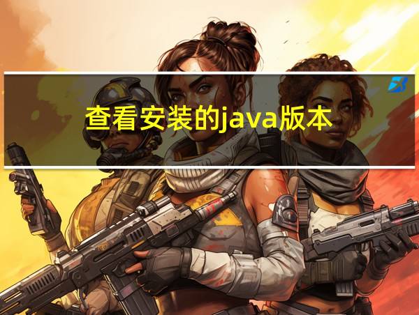 查看安装的java版本的相关图片