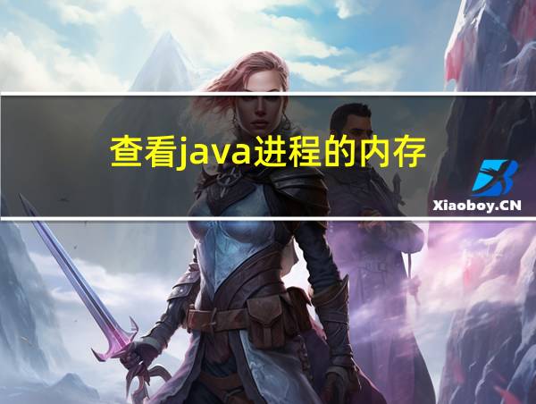 查看java进程的内存的相关图片