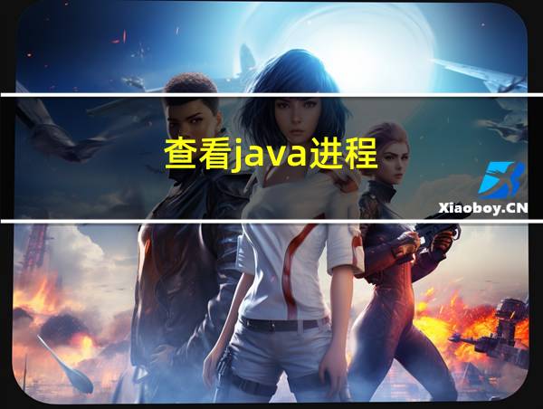 查看java进程的相关图片