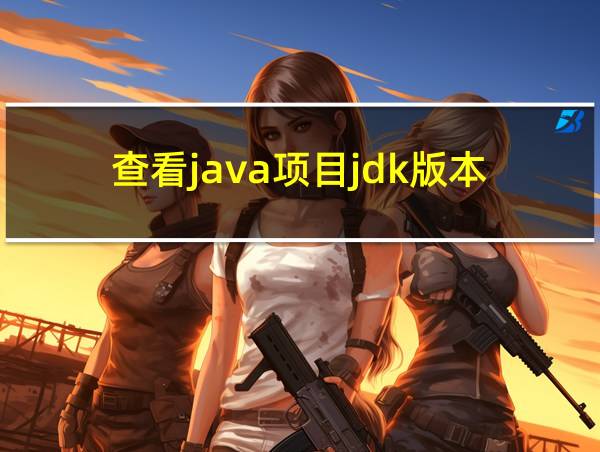 查看java项目jdk版本的相关图片