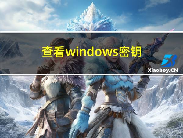 查看windows密钥的相关图片