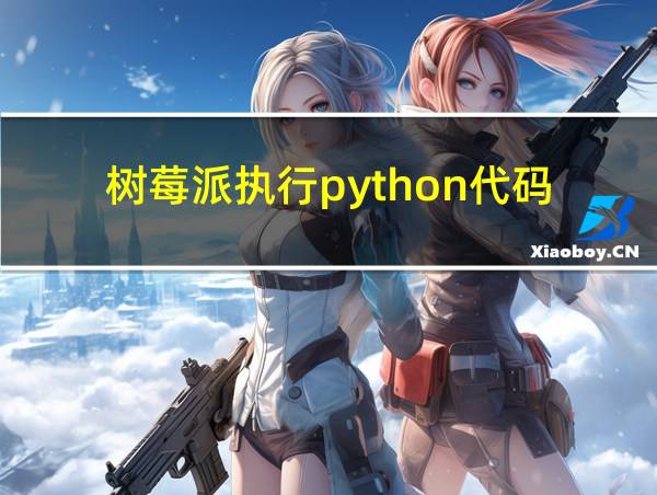 树莓派执行python代码的相关图片