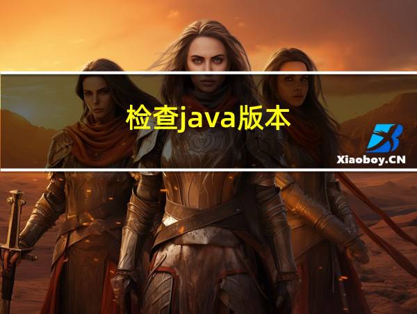 检查java版本的相关图片