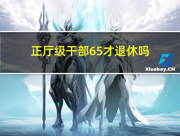 正厅级干部65才退休吗的相关图片