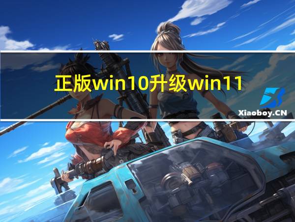 正版win10升级win11的相关图片