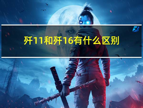 歼11和歼16有什么区别的相关图片