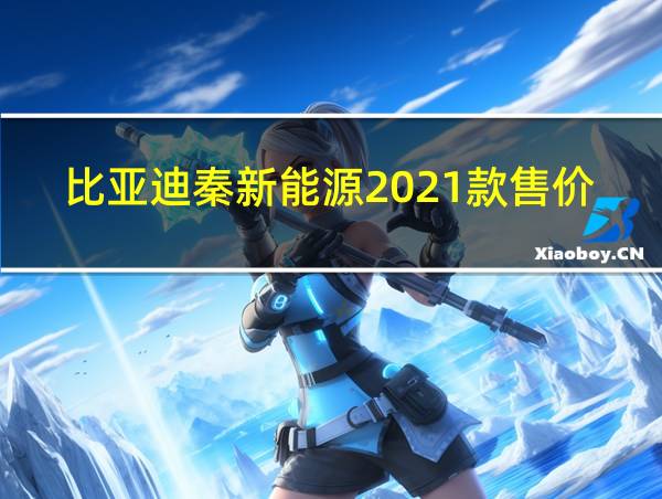 比亚迪秦新能源2021款售价的相关图片