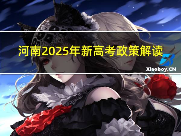 河南2025年新高考政策解读的相关图片