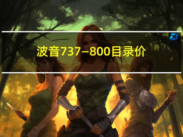 波音737—800目录价的相关图片