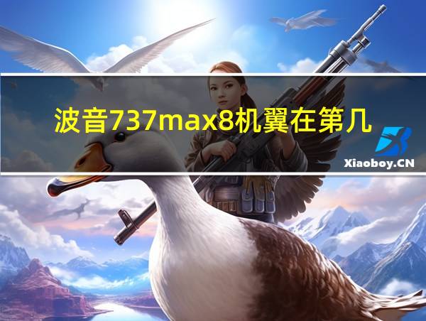 波音737max8机翼在第几排的相关图片