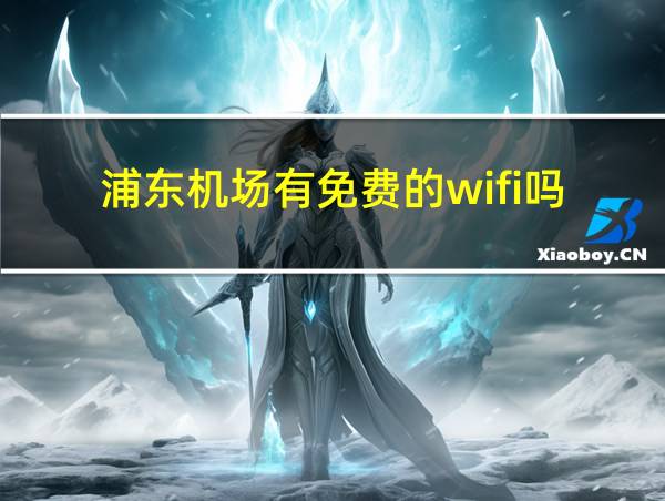 浦东机场有免费的wifi吗的相关图片