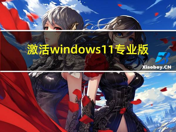 激活windows11专业版的相关图片