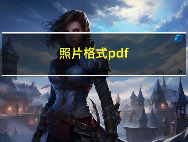 照片格式pdf的相关图片