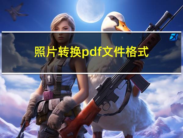 照片转换pdf文件格式的相关图片