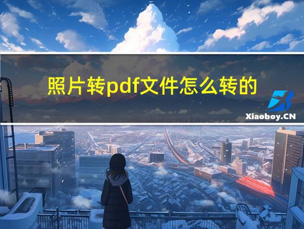 照片转pdf文件怎么转的的相关图片