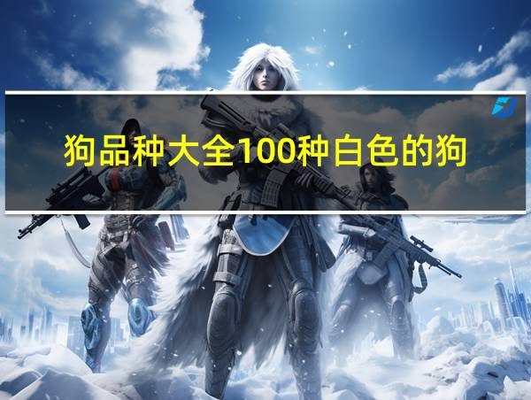 狗品种大全100种白色的狗的相关图片