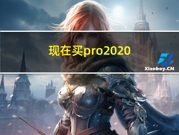 现在买pro2020的相关图片