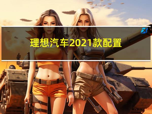 理想汽车2021款配置的相关图片