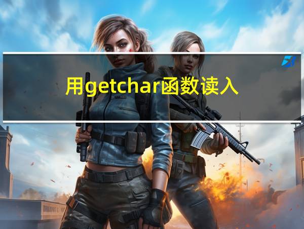 用getchar函数读入的相关图片