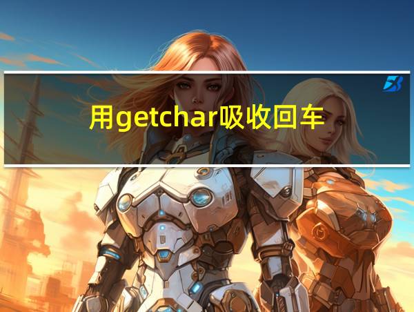 用getchar吸收回车的相关图片