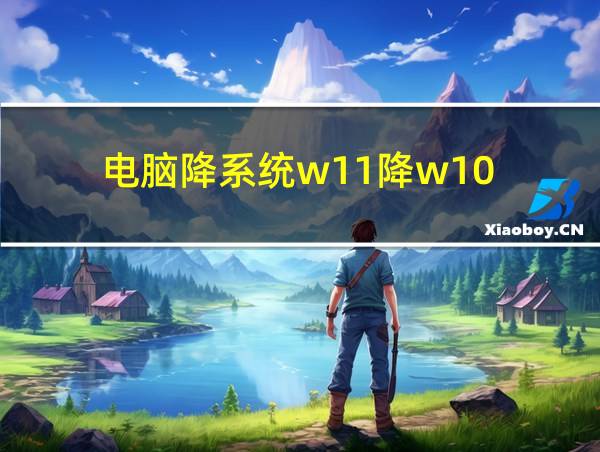 电脑降系统w11降w10的相关图片