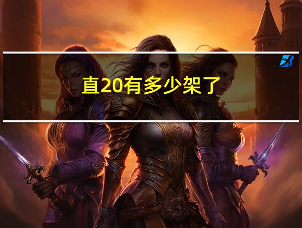 直20有多少架了的相关图片