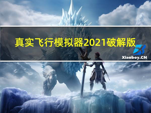 真实飞行模拟器2021破解版下载的相关图片