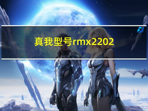 真我型号rmx2202的相关图片