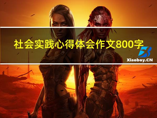 社会实践心得体会作文800字的相关图片