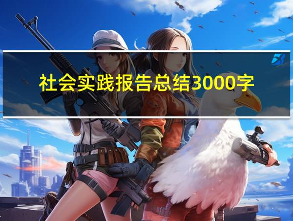 社会实践报告总结3000字的相关图片