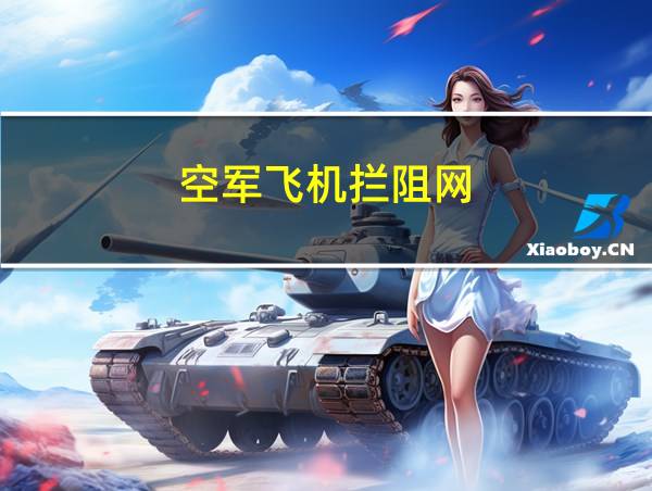 空军飞机拦阻网的相关图片