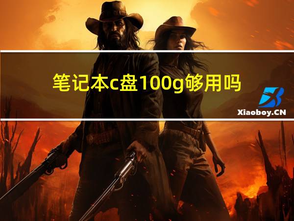 笔记本c盘100g够用吗的相关图片