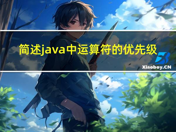 简述java中运算符的优先级别的相关图片