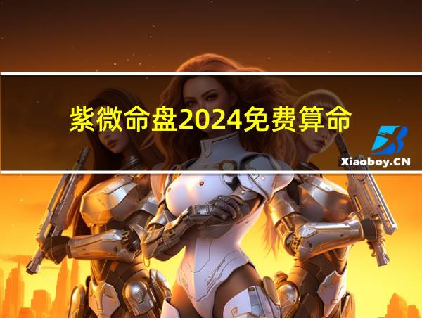 紫微命盘2024免费算命的相关图片