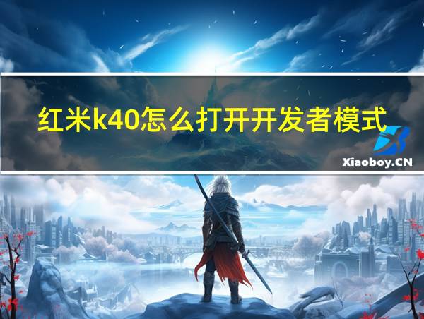 红米k40怎么打开开发者模式的相关图片