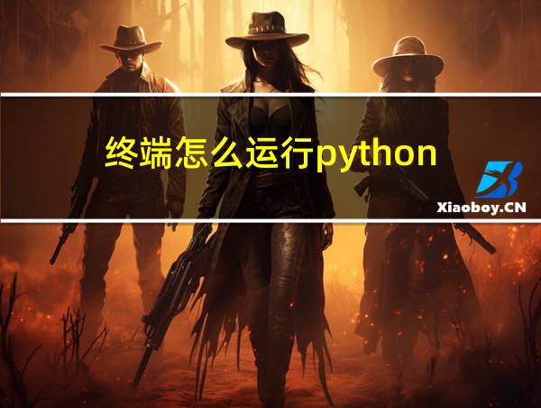 终端怎么运行python的相关图片