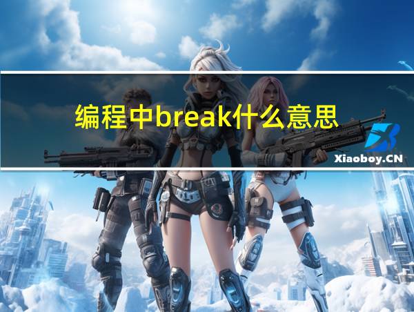 编程中break什么意思的相关图片